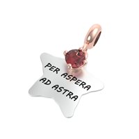Charm Rerum Dame MUSA in Silber Granato 25011M - 25011M
